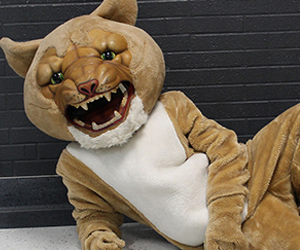 Cougar mascot poses on the floor